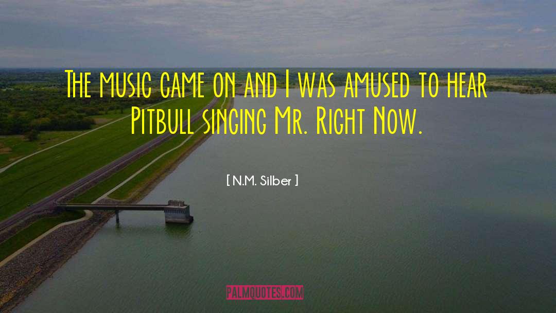 N.M. Silber Quotes: The music came on and