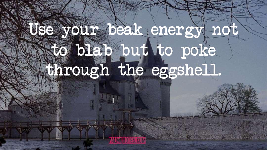 N Quotes: Use your beak energy not