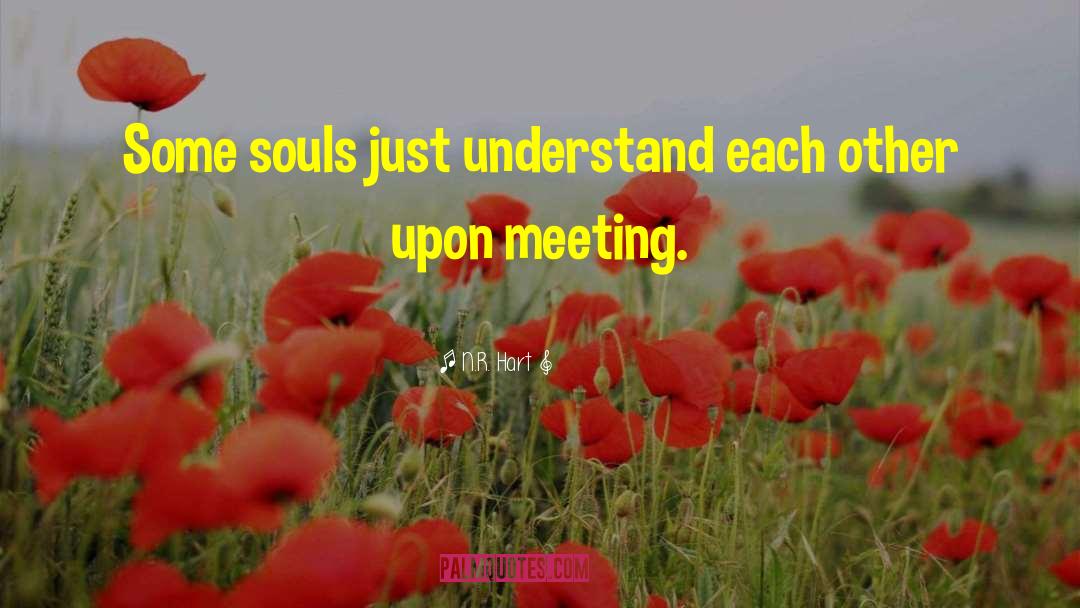 N.R. Hart Quotes: Some souls just understand each