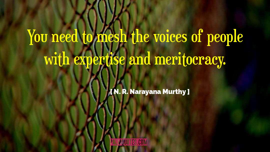 N. R. Narayana Murthy Quotes: You need to mesh the