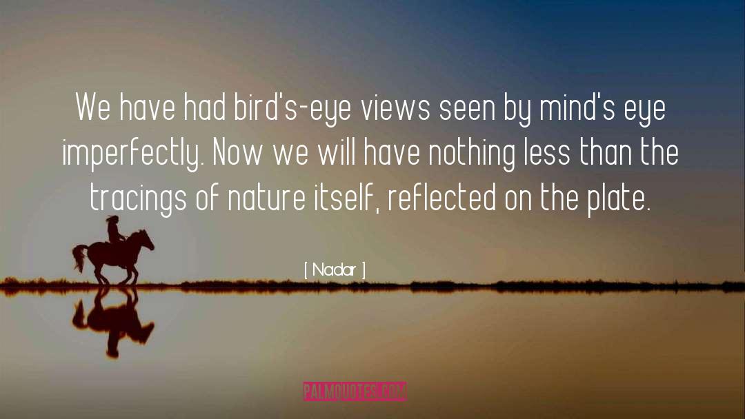 Nadar Quotes: We have had bird's-eye views