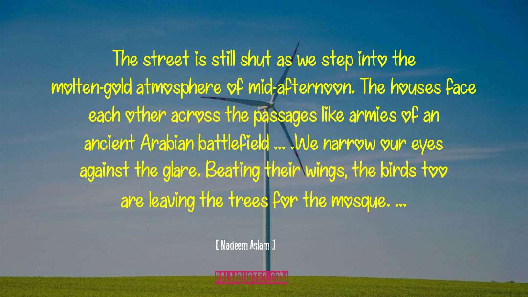 Nadeem Aslam Quotes: The street is still shut