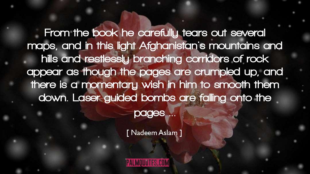 Nadeem Aslam Quotes: From the book he carefully