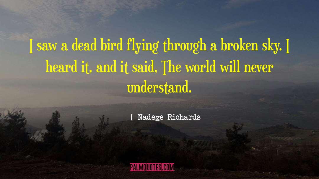 Nadege Richards Quotes: I saw a dead bird