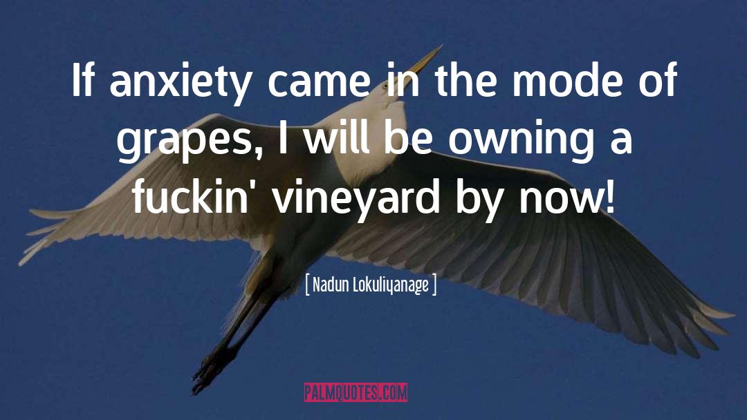 Nadun Lokuliyanage Quotes: If anxiety came in the