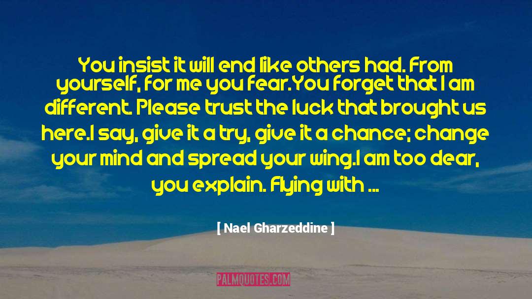 Nael Gharzeddine Quotes: You insist it will end