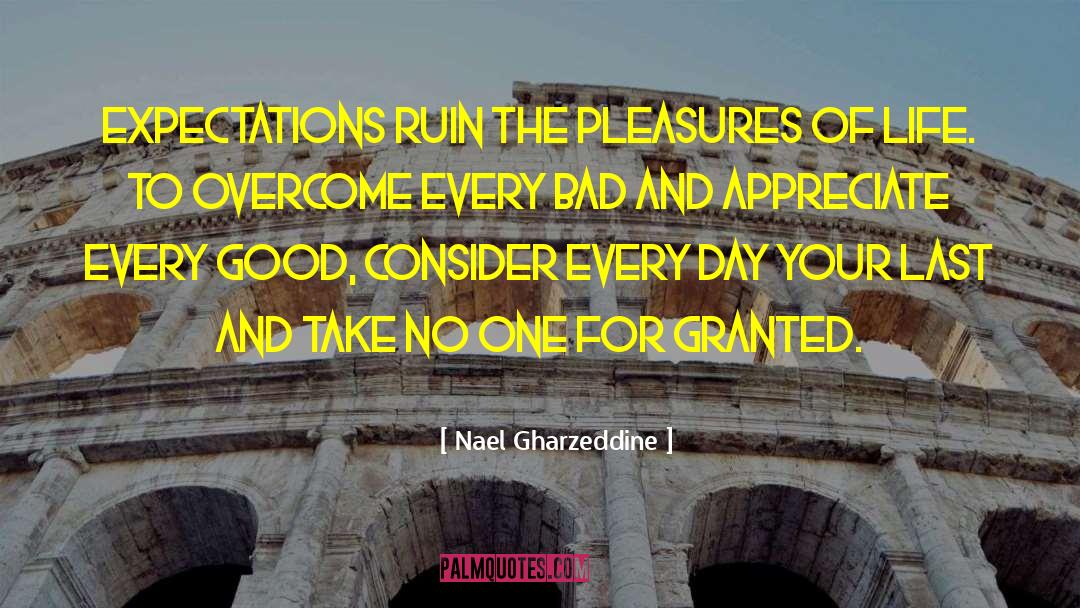 Nael Gharzeddine Quotes: Expectations ruin the pleasures of