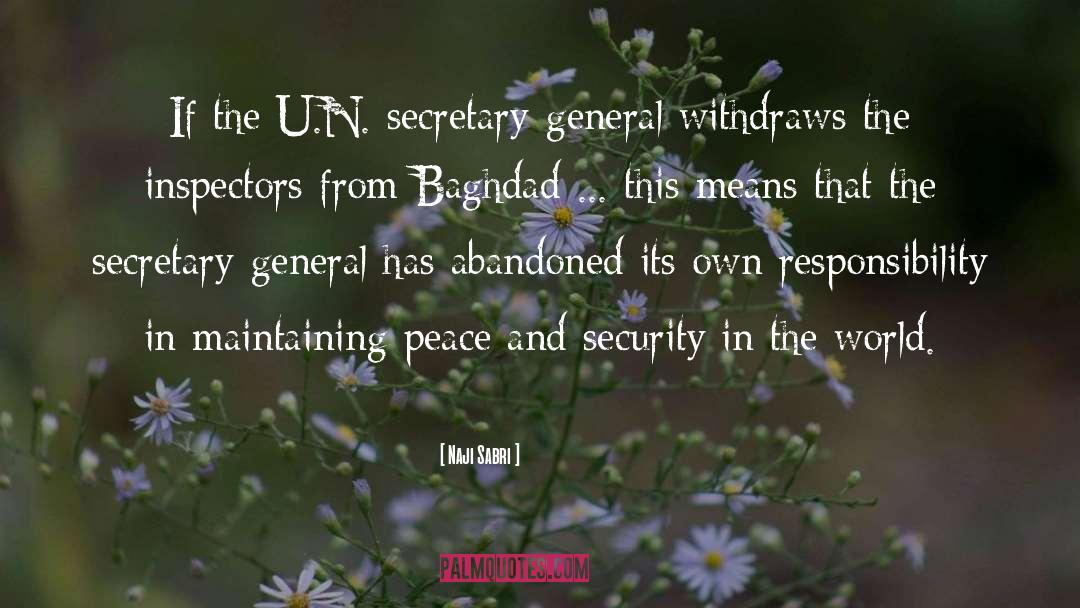 Naji Sabri Quotes: If the U.N. secretary-general withdraws