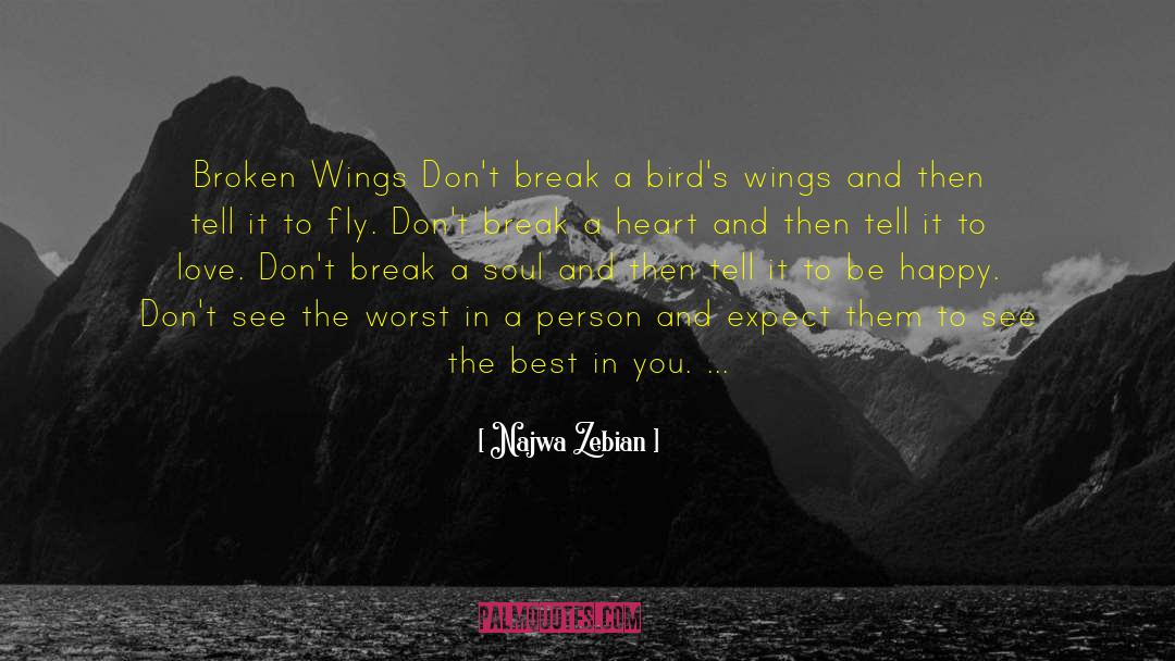 Najwa Zebian Quotes: Broken Wings Don't break a