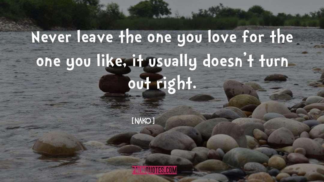 Nako Quotes: Never leave the one you