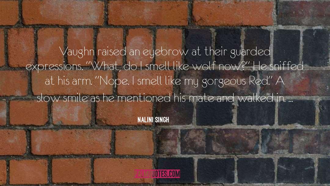 Nalini Singh Quotes: Vaughn raised an eyebrow at