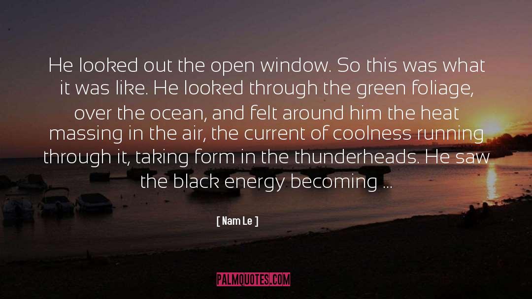 Nam Le Quotes: He looked out the open