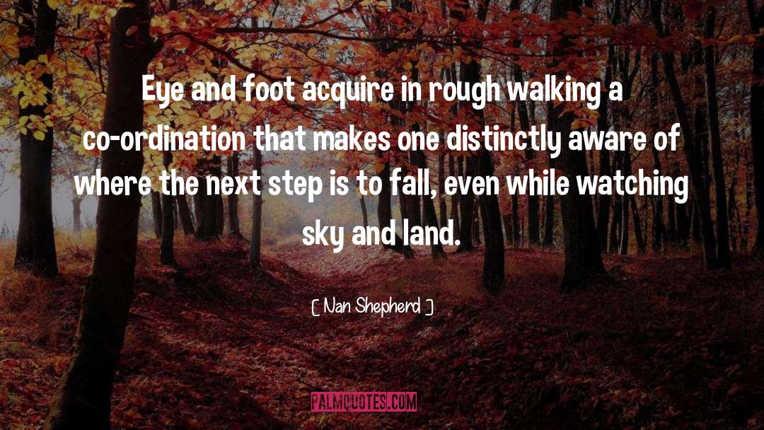 Nan Shepherd Quotes: Eye and foot acquire in