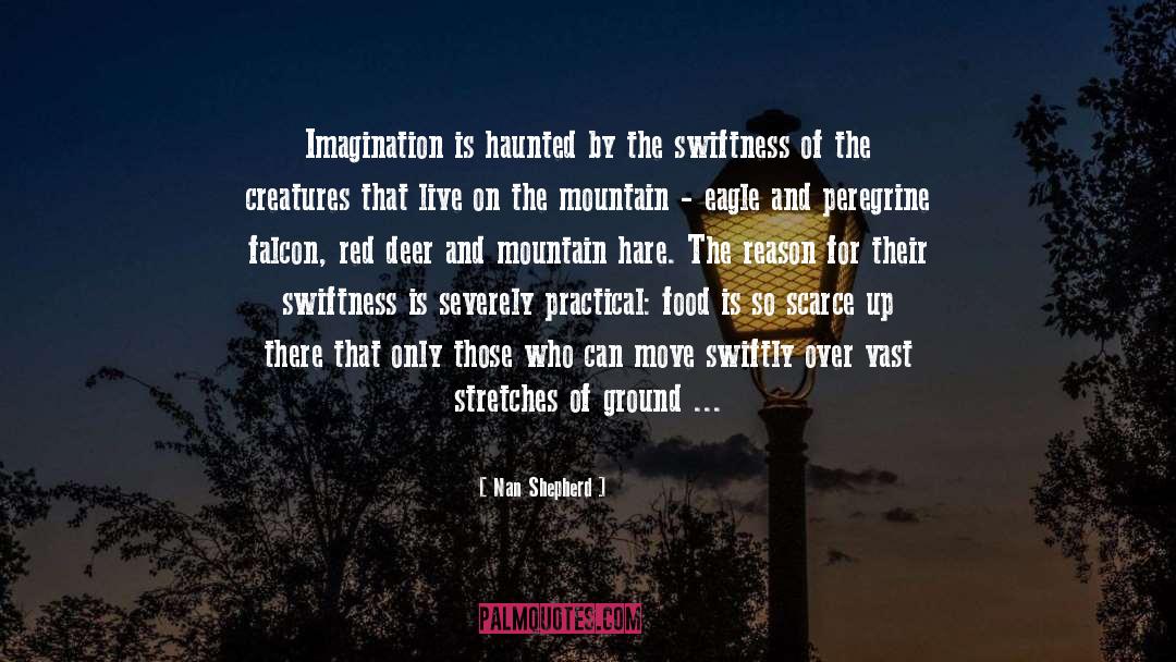 Nan Shepherd Quotes: Imagination is haunted by the