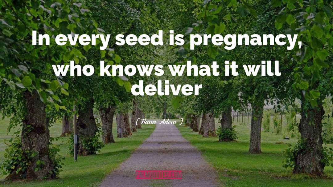 Nana Adom Quotes: In every seed is pregnancy,
