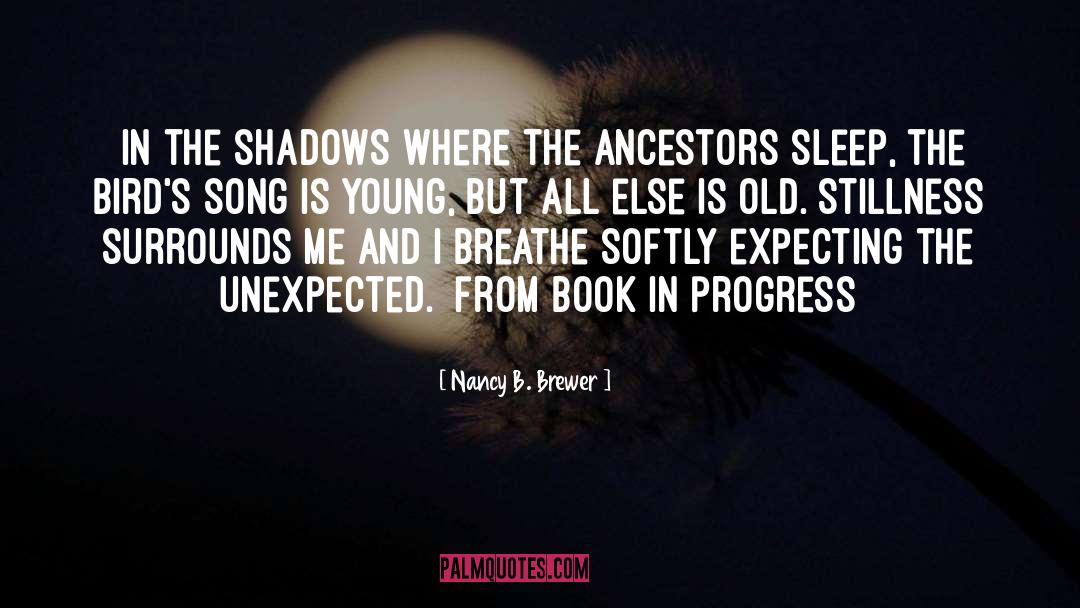 Nancy B. Brewer Quotes: {In the shadows where the