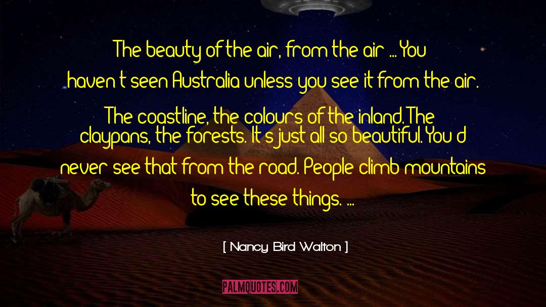 Nancy Bird Walton Quotes: The beauty of the air,