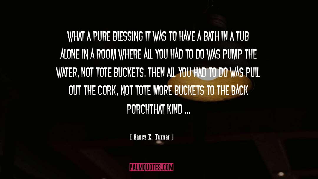 Nancy E. Turner Quotes: What a pure blessing it