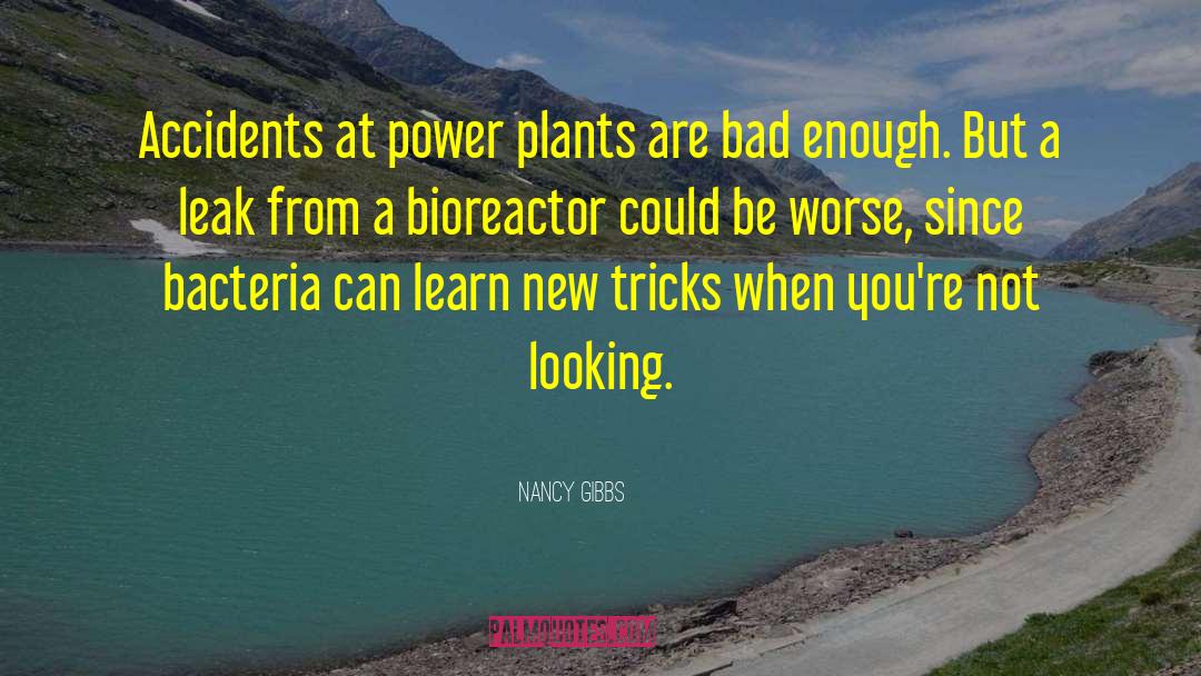 Nancy Gibbs Quotes: Accidents at power plants are