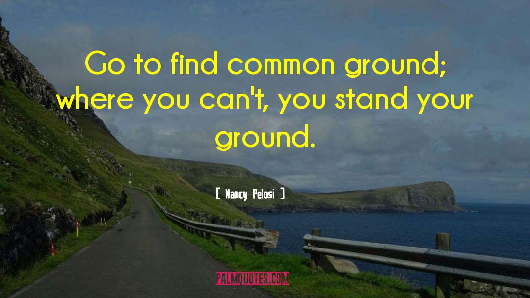 Nancy Pelosi Quotes: Go to find common ground;