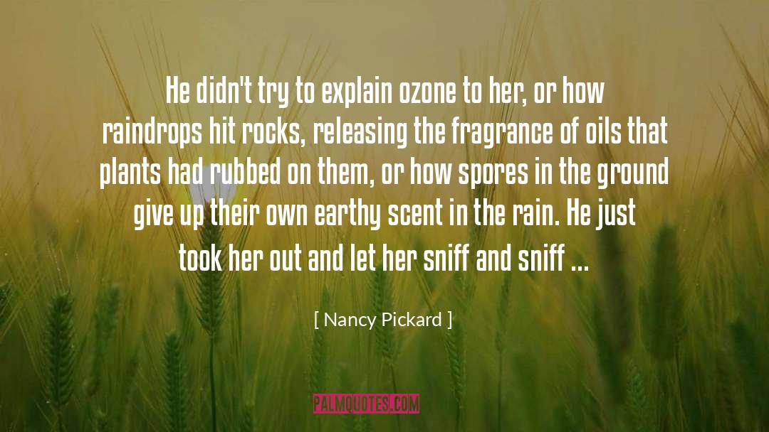 Nancy Pickard Quotes: He didn't try to explain