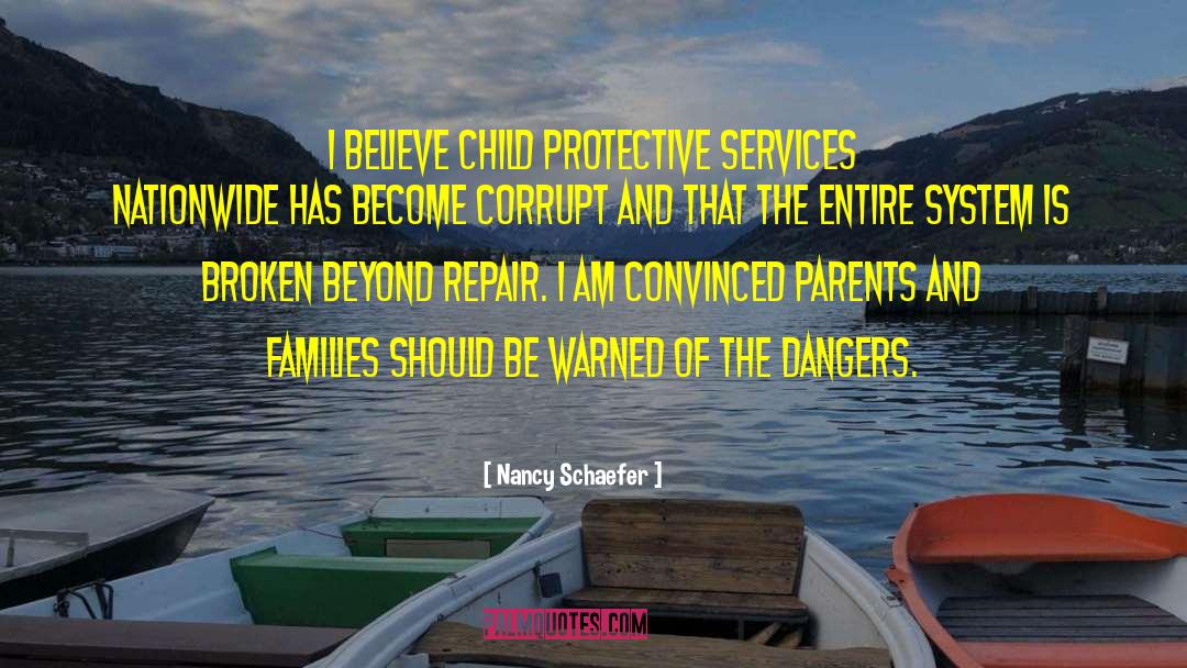 Nancy Schaefer Quotes: I believe Child Protective Services