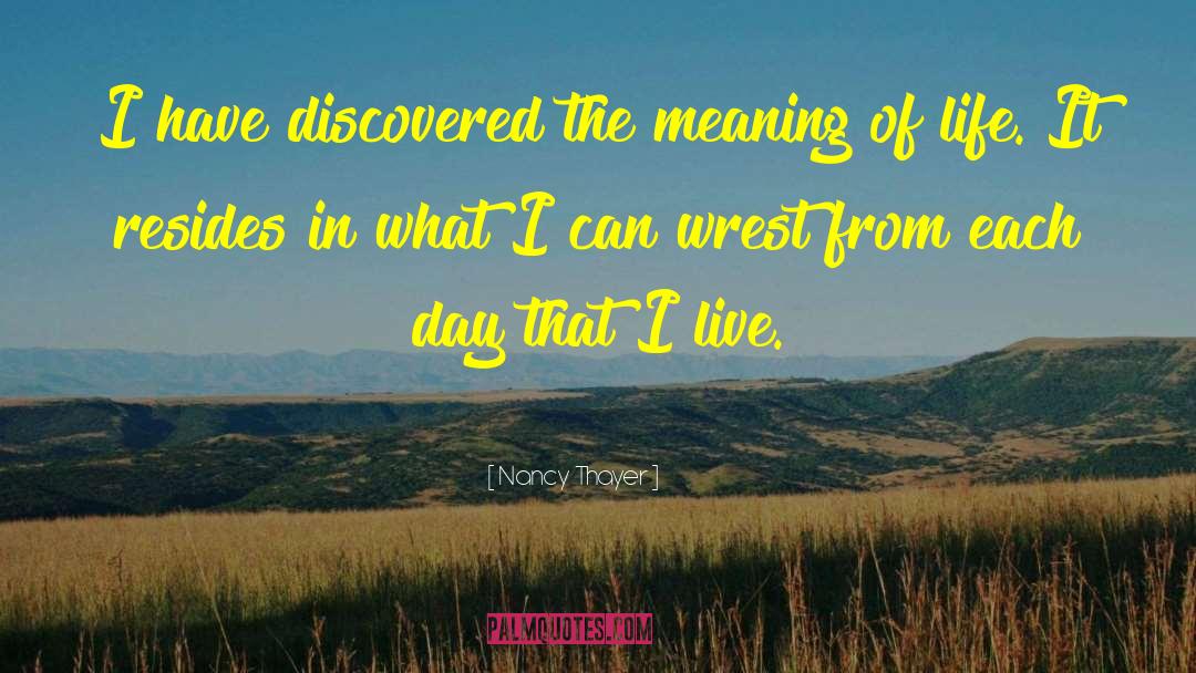 Nancy Thayer Quotes: I have discovered the meaning