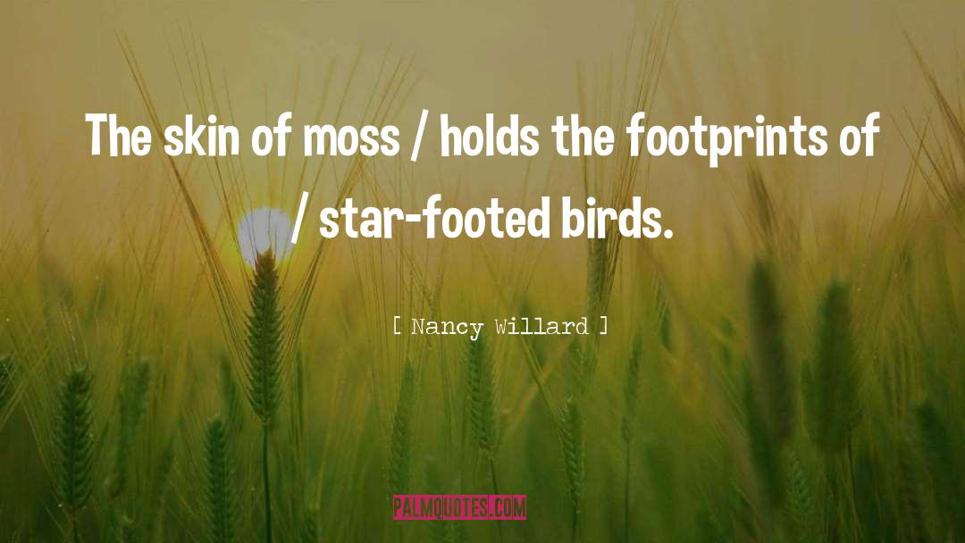 Nancy Willard Quotes: The skin of moss /