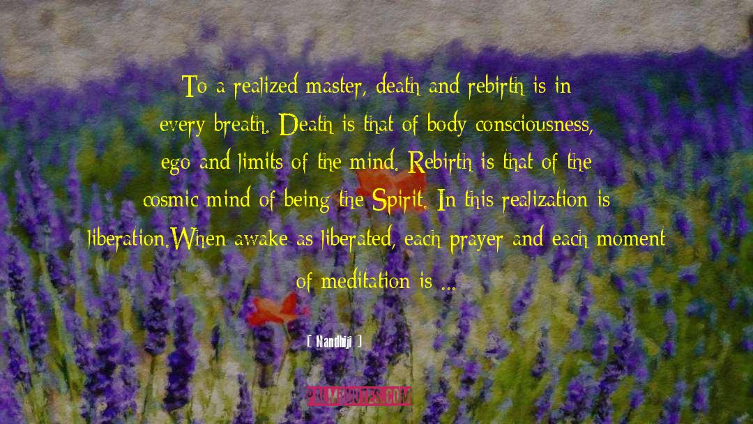 Nandhiji Quotes: To a realized master, death