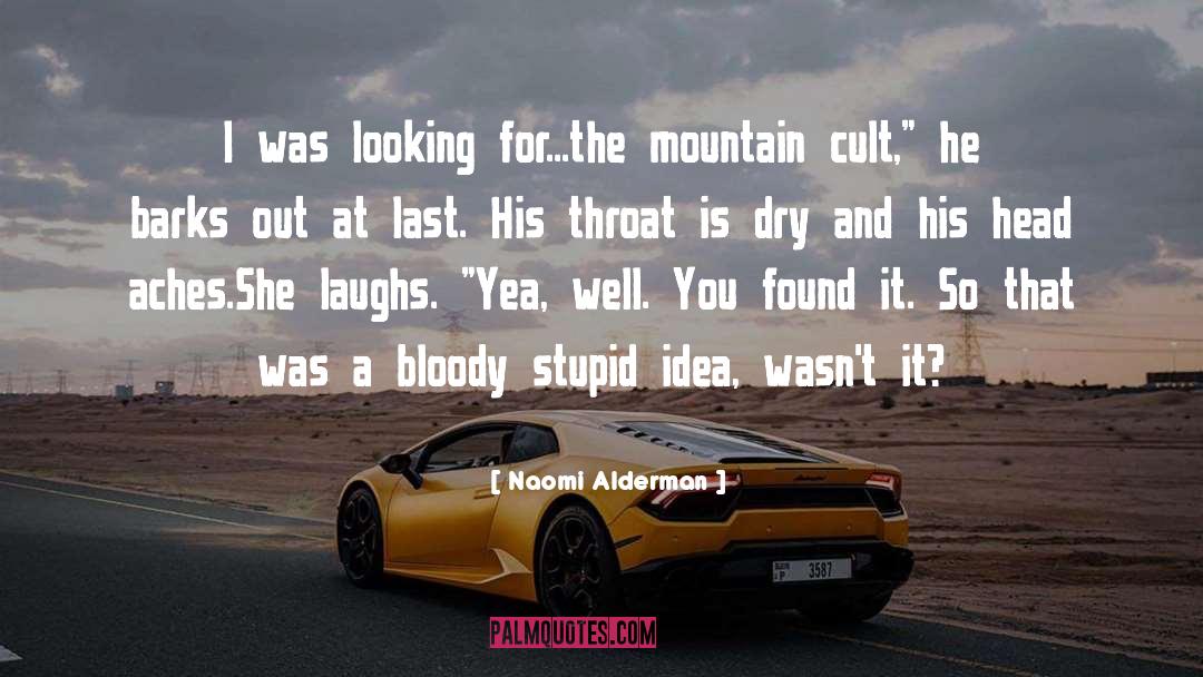 Naomi Alderman Quotes: I was looking for...the mountain