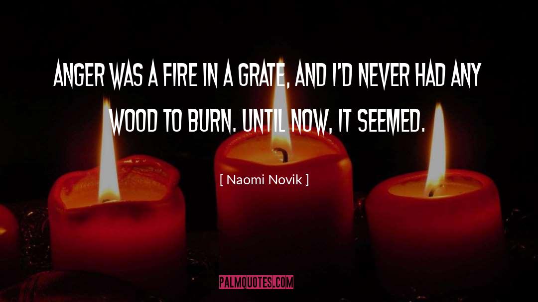 Naomi Novik Quotes: Anger was a fire in