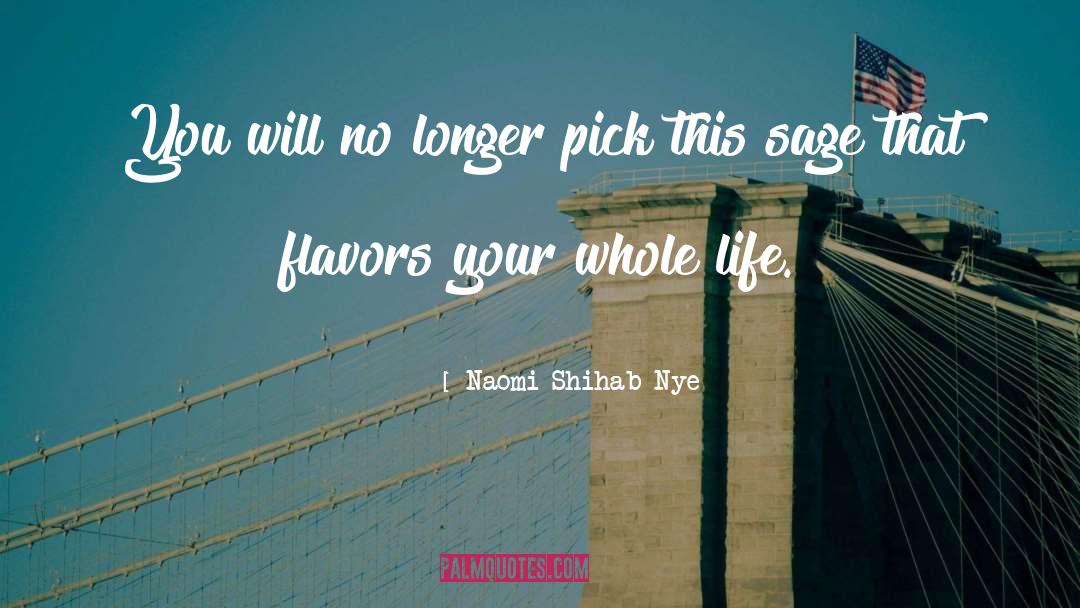 Naomi Shihab Nye Quotes: You will no longer pick