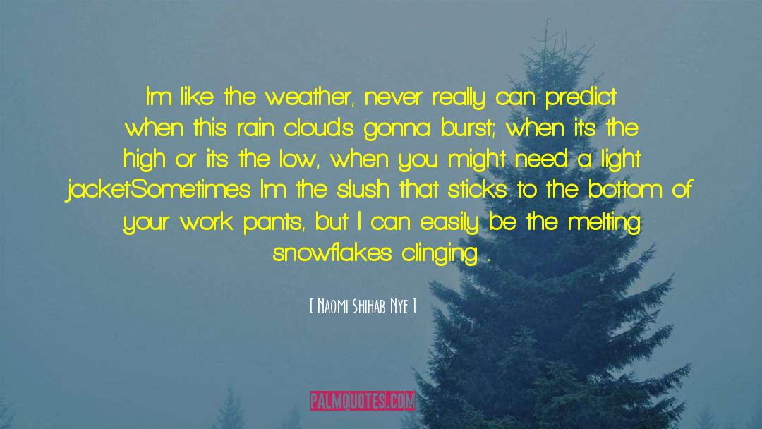 Naomi Shihab Nye Quotes: I'm like the weather, never