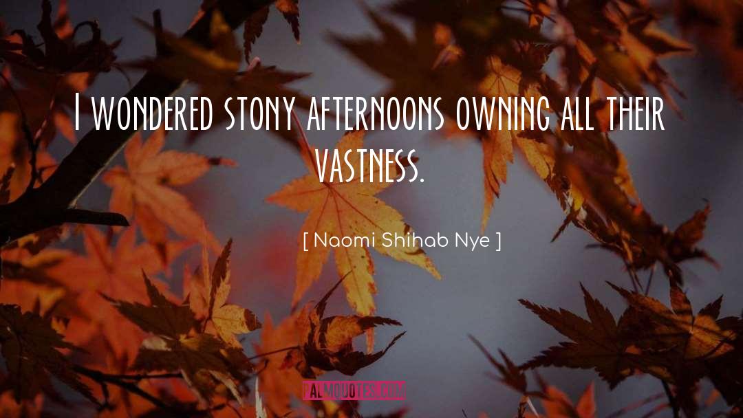 Naomi Shihab Nye Quotes: I wondered stony afternoons owning