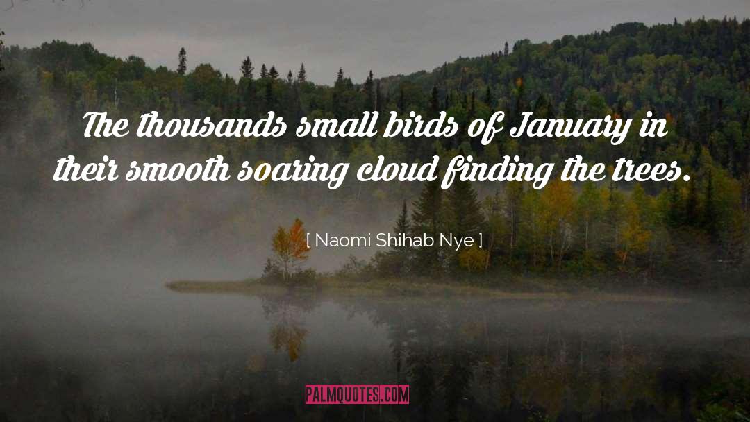 Naomi Shihab Nye Quotes: The thousands small birds of