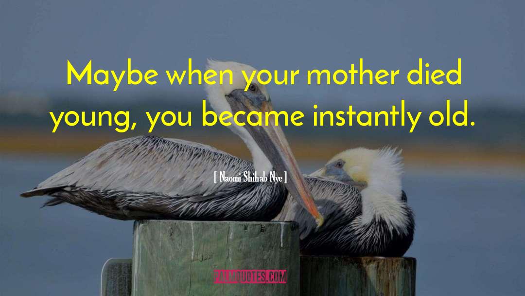 Naomi Shihab Nye Quotes: Maybe when your mother died
