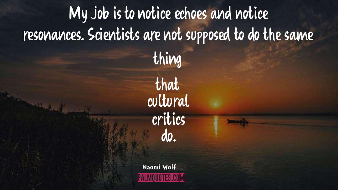 Naomi Wolf Quotes: My job is to notice