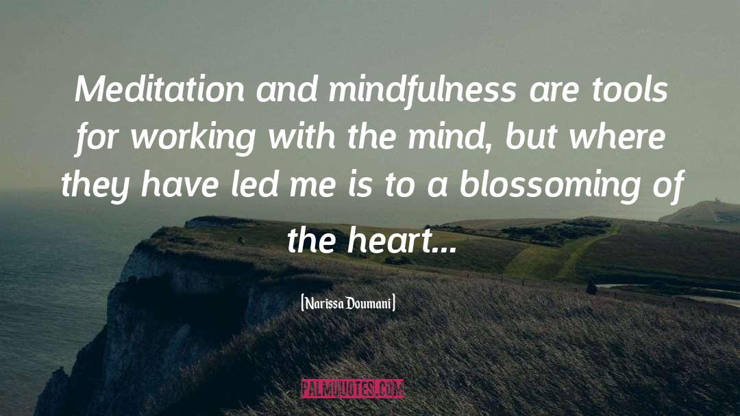 Narissa Doumani Quotes: Meditation and mindfulness are tools