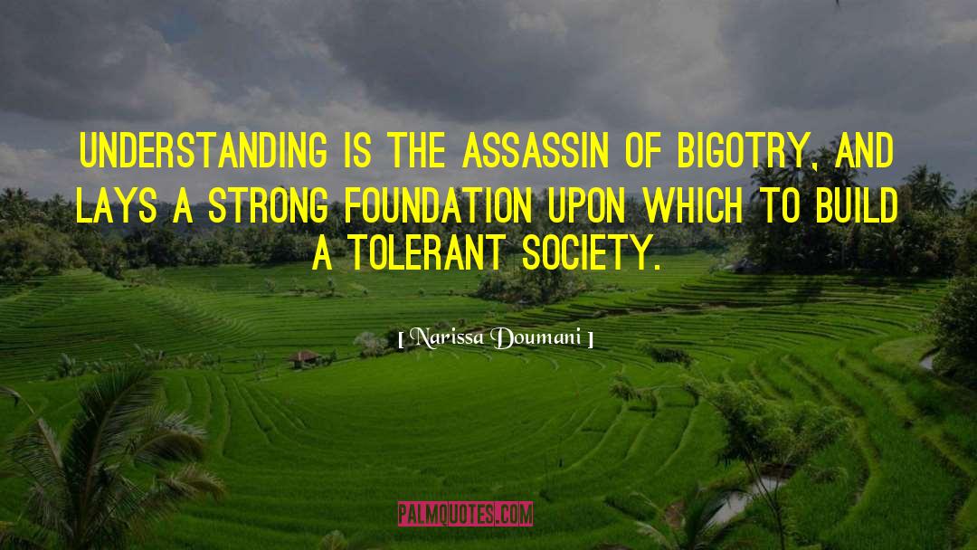 Narissa Doumani Quotes: Understanding is the assassin of