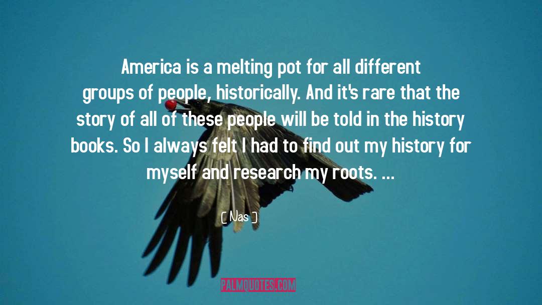 Nas Quotes: America is a melting pot