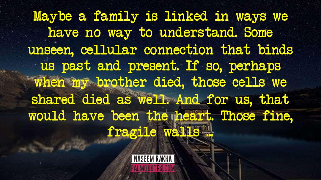 Naseem Rakha Quotes: Maybe a family is linked