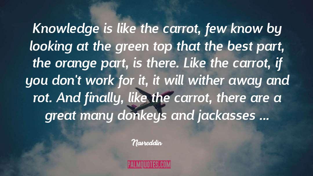 Nasreddin Quotes: Knowledge is like the carrot,