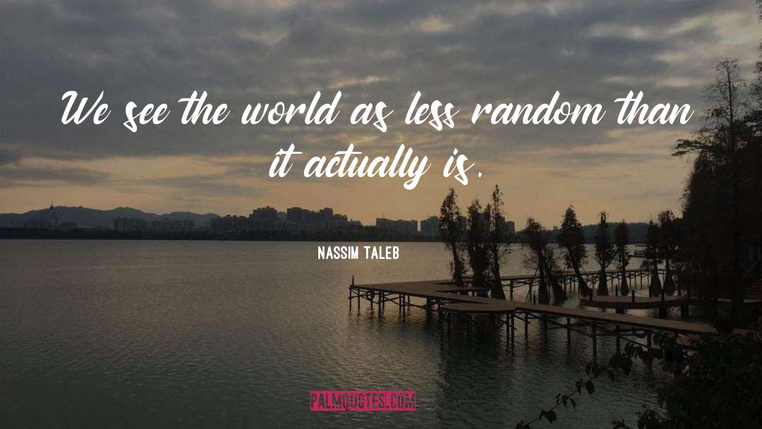 Nassim Taleb Quotes: We see the world as