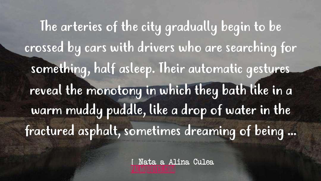 Natașa Alina Culea Quotes: The arteries of the city