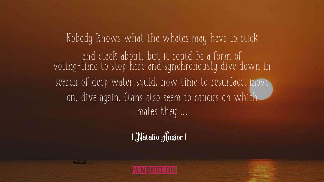 Natalie Angier Quotes: Nobody knows what the whales