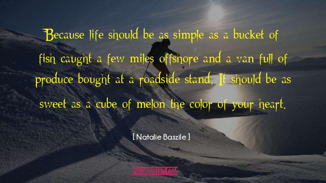 Natalie Baszile Quotes: Because life should be as