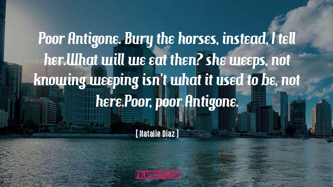 Natalie Diaz Quotes: Poor Antigone. Bury the horses,