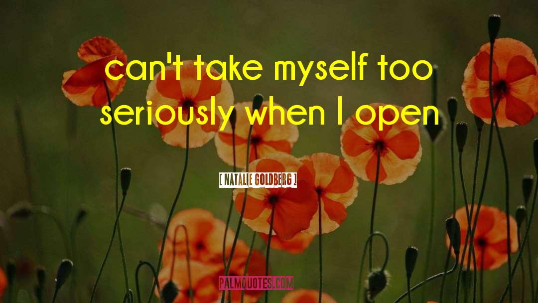 Natalie Goldberg Quotes: can't take myself too seriously