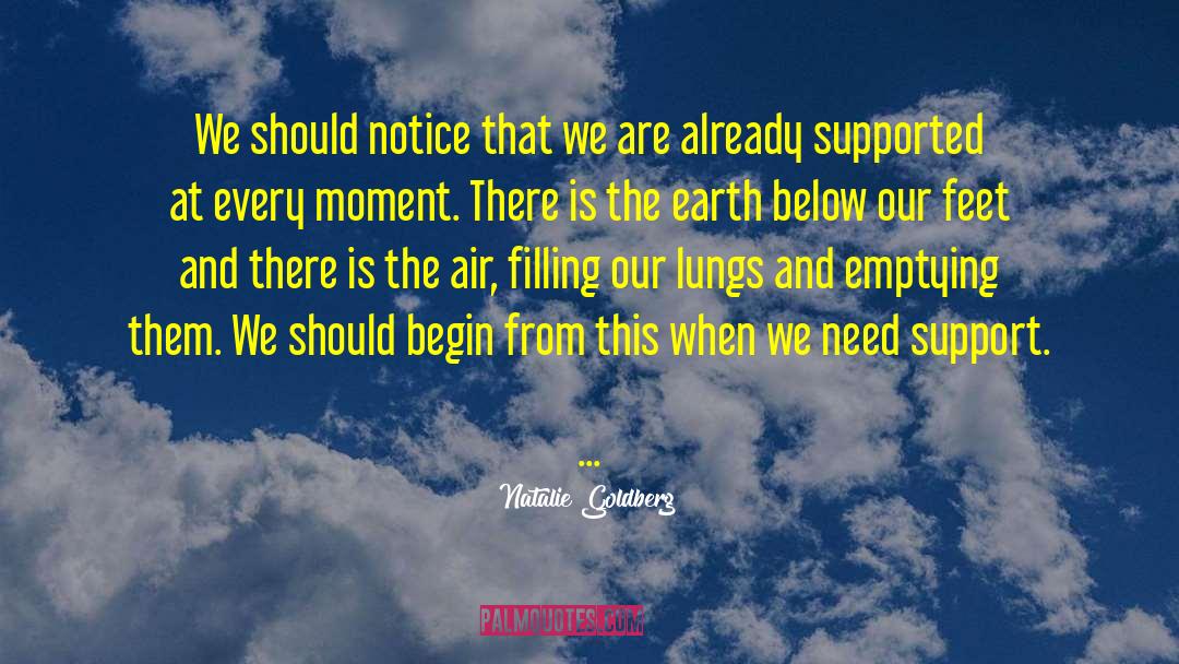 Natalie Goldberg Quotes: We should notice that we