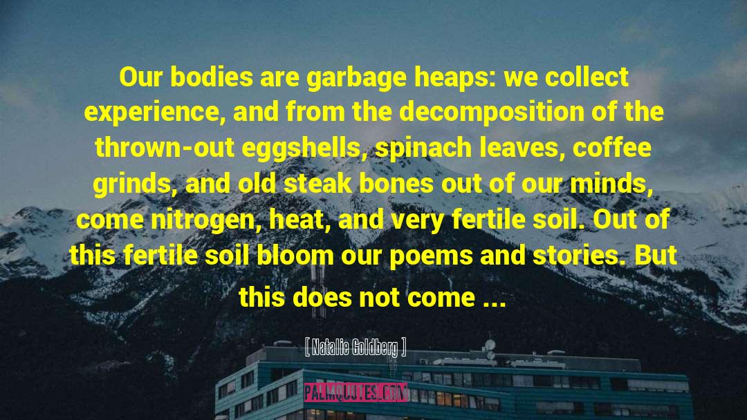 Natalie Goldberg Quotes: Our bodies are garbage heaps:
